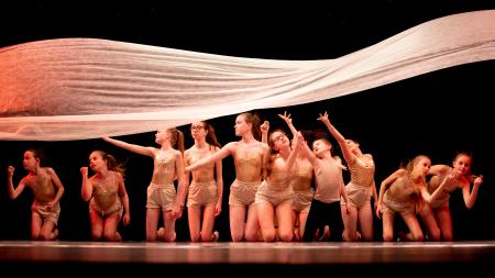 Pristanek v puščavi-foto V.Leban